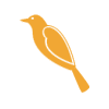 Orange Bird
